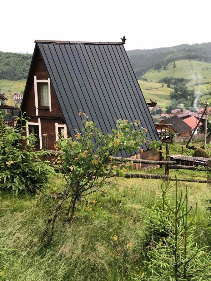 Oak House Appartement Palyanytsya Buitenkant foto