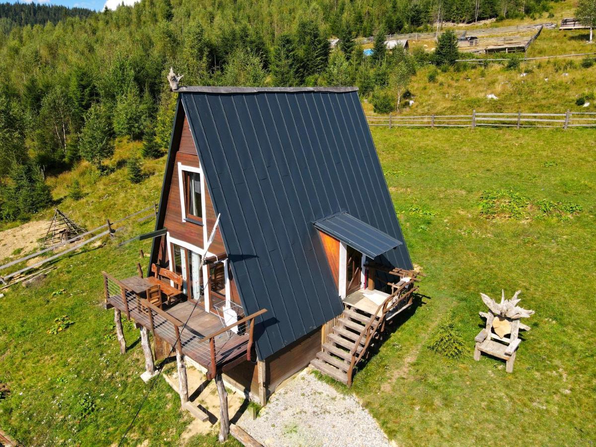 Oak House Appartement Palyanytsya Buitenkant foto