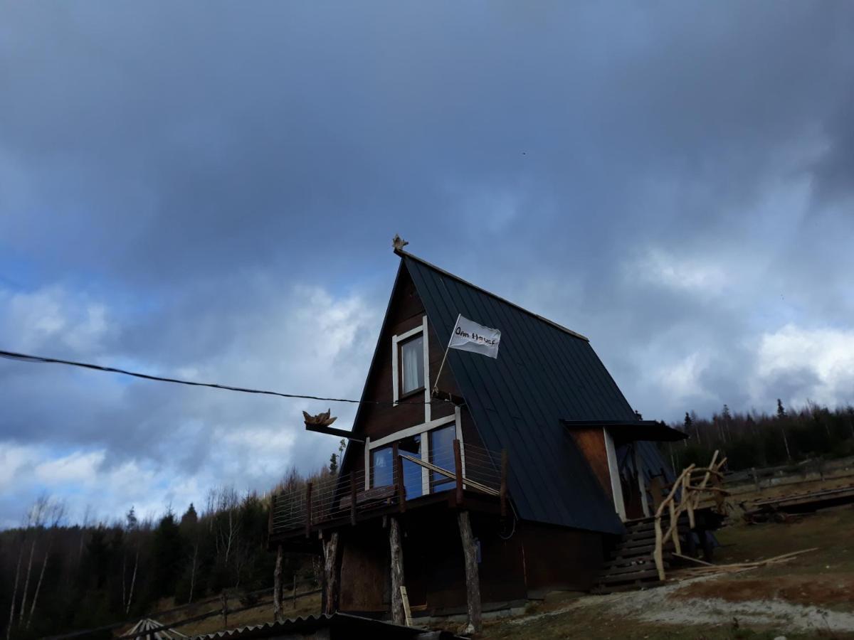 Oak House Appartement Palyanytsya Buitenkant foto