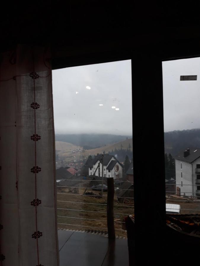 Oak House Appartement Palyanytsya Buitenkant foto